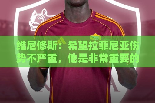 维尼修斯:希望拉菲尼亚伤势不严重,他是非常重要的球员 维尼修斯:希望拉菲尼亚伤势不严重,他是非常重要的球员