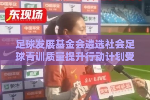 足球发展基金会遴选社会足球青训质量提升行动计划受资助机构通知 足球发展基金会遴选社会足球青训质量提升行动计划受资助机构通知