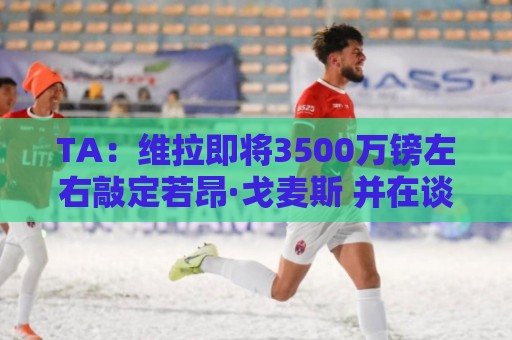 TA:维拉即将3500万镑左右敲定若昂·戈麦斯 并在谈租帕利尼亚 TA:维拉即将3500万镑左右敲定若昂·戈麦斯 并在谈租帕利尼亚