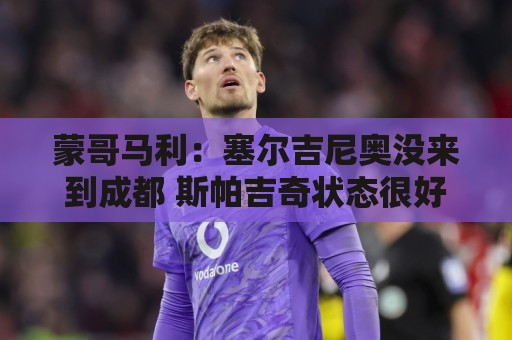 蒙哥马利:塞尔吉尼奥没来到成都 斯帕吉奇状态很好我们信任他 蒙哥马利:塞尔吉尼奥没来到成都 斯帕吉奇状态很好我们信任他