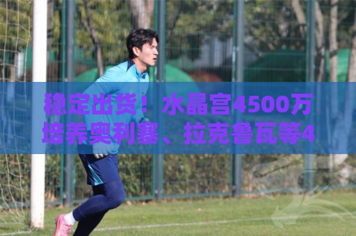 稳定出货!水晶宫4500万培养奥利塞、拉克鲁瓦等4人,共卖出2.4亿 稳定出货!水晶宫4500万培养奥利塞、拉克鲁瓦等4人,共卖出2.4亿