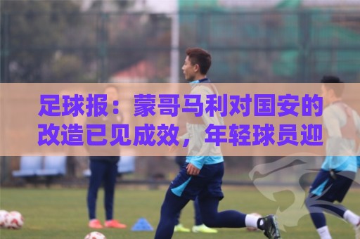 足球报:蒙哥马利对国安的改造已见成效,年轻球员迎来历练机会 足球报:蒙哥马利对国安的改造已见成效,年轻球员迎来历练机会
