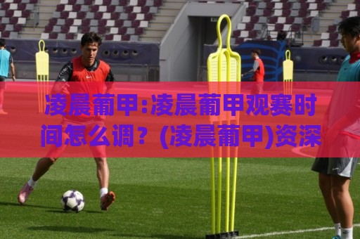 凌晨葡甲:凌晨葡甲观赛时间怎么调?(凌晨葡甲)资深球迷的深夜足球生物钟养成记【凌晨葡甲】🌷今日最新外围买球网原声解说降盘APP网址球盘平台 凌晨葡甲:凌晨葡甲观赛时间怎么调?(凌晨葡甲)资深球迷的深夜足球生物钟养成记【凌晨葡甲】🌷今日最新外围买球网原声解说降盘APP网址球盘平台
