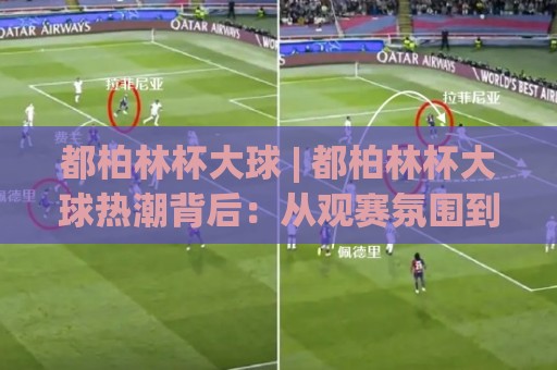 都柏林杯大球 | 都柏林杯大球热潮背后：从观赛氛围到城市文化体验的全面解读🌷今日最新外围比球站水位精彩片段流畅代理1080P官网