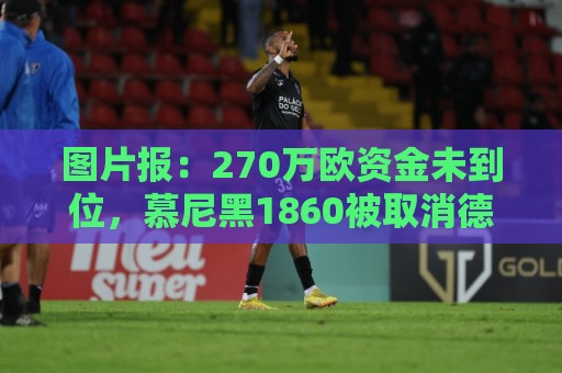 图片报:270万欧资金未到位,慕尼黑1860被取消德丙参赛资格 图片报:270万欧资金未到位,慕尼黑1860被取消德丙参赛资格