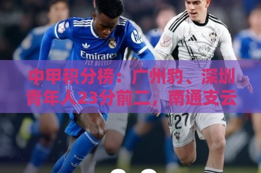 中甲积分榜:广州豹、深圳青年人23分前二,南通支云22分第三 中甲积分榜:广州豹、深圳青年人23分前二,南通支云22分第三